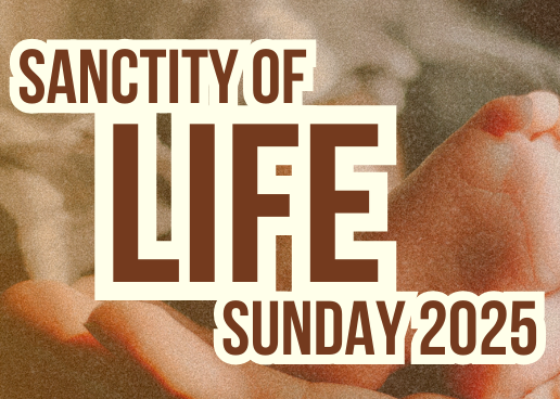 Image of God and Its Implications (Sanctity of Life Sunday 2025) episode artwork
