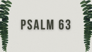 Delight in the Lord, He Will Avenge You (Psalm 63)